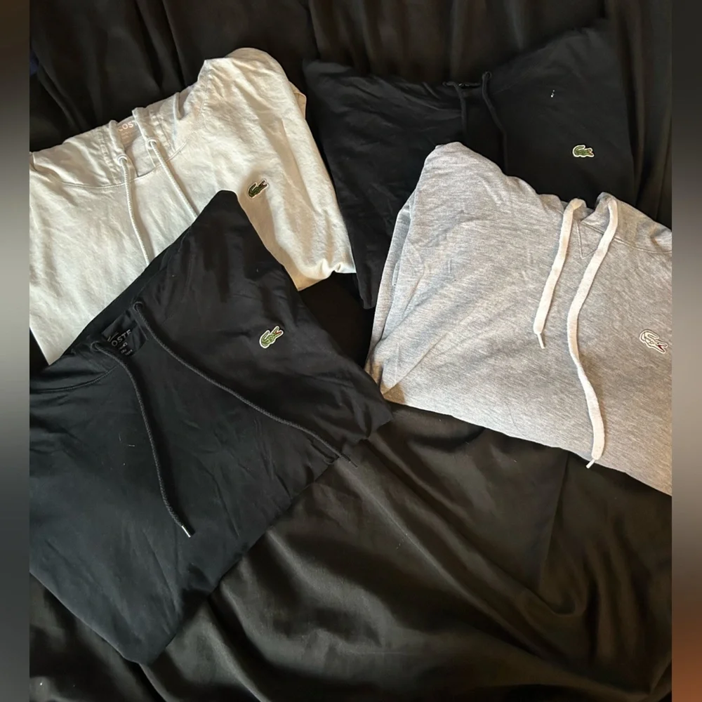 Lacoste Black, Gray, and Cream Hoodies - Picture 1 of 13